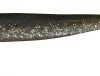 Seika Frequency Shad Shiny Tail 8 Cm -Vissen Verkoop Winkel frequency shad seika shiny tail 8 12 16 cm