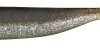 Seika Speed Shad Shiny Tail 6 Cm -Vissen Verkoop Winkel speed shad seika shiny tail 6 9 13 16 20 cm